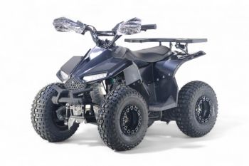 Детский квадроцикл LEON 49CC карбон