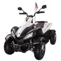 Электромобиль Квадроцикл 268А Dongma (белый)