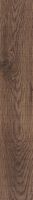 Ламинат Floorwood Balance AC5/33 1810-5 Дуб Таймори (8 мм)