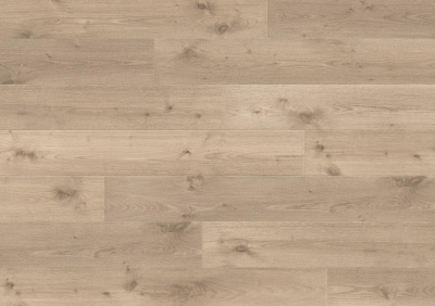 Ламинат Balterio Traditions AC 4/32 V 025 Дуб Королевский Светлый (9 мм)
