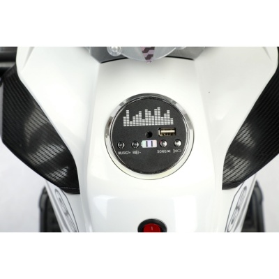 Мотоцикл Moto BMW R 1250 7712 Белый