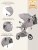 Коляска детская Aimile Summer Original (Pearl) (Капучино ASP-2)