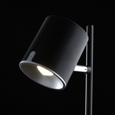 Настольная лампа Эдгар 6.5W LED 220 V (408032401)
