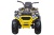Электромобиль Квадроцикл Qwatro XMX607 4х4 (желтый)