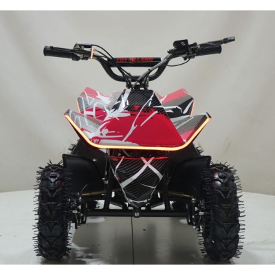Квадроцикл ATV-2E 36V1000W Красный (Spider 19)