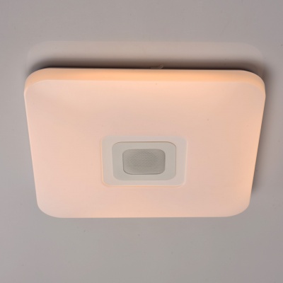Люстра Норден 36W LED 220 V Bluetooth+Speaker box+Smartphone control (660012401)