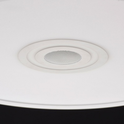 Люстра Норден 36W LED 220 V Bluetooth+Speaker box+Smartphone control (660012601)