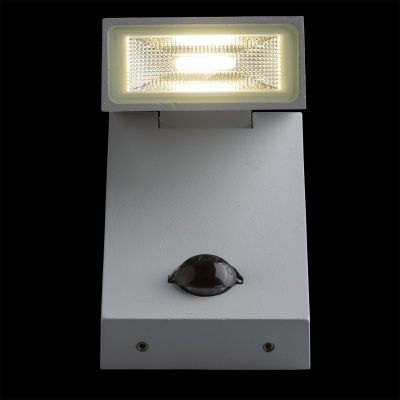 Светильник Меркурий 1*10W LED IP65 220V (807021601)