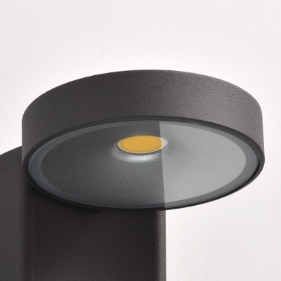 Светильник Меркурий 1*10W LED 220 V IP44 (807022001)