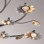 Люстра Адриатика 35W LED 220 V (280011611) Люстра Адриатика 35W LED 220 V (280011611)