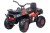 Электромобиль Квадроцикл Qwatro XMX607 4х4 (красный спайдер)