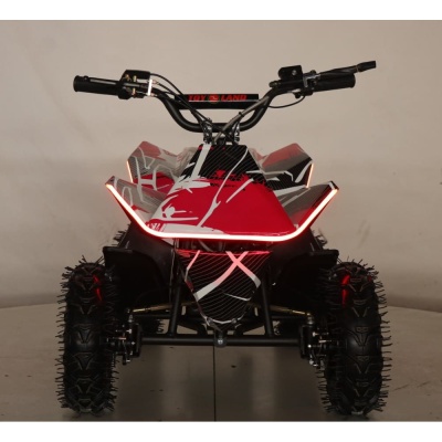 Квадроцикл ATV-2E 36V1000W Красный (Spider 19)
